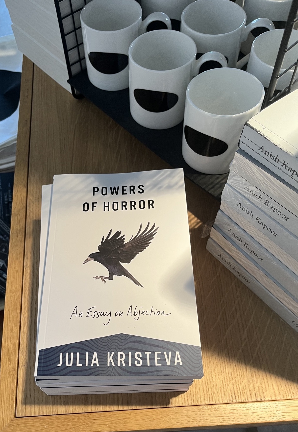Julia Kristeva Pouvoirs de l&rsquo;horreur a l&rsquo;exposition Anish Kapoor entoure de mugs Black Abscence
